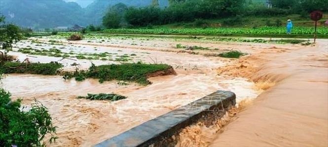 Lạng Sơn: Mưa to nhiều nơi, nguy cơ cao xảy ra sạt lở đất đá